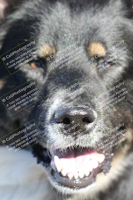 media/Jan-15-2026-Racers Edge (Thu) [[dfebeb70ab]]/1-Around the Pits-Track Walk/